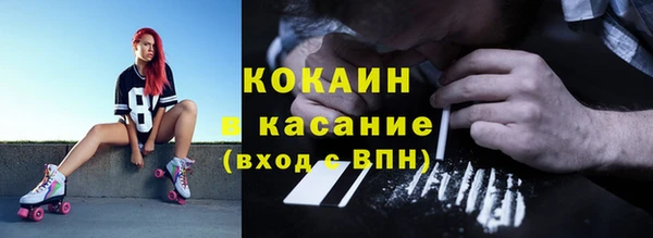 ешки Пересвет